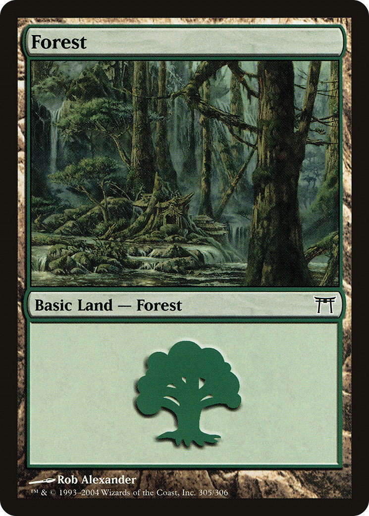 Forest (CHK-305) - Champions of Kamigawa Foil