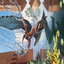 Nadu, Winged Wisdom // Nadu, Winged Wisdom (AMH3-014) - Modern Horizons 3 Art Series (Borderless)