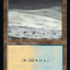 Tundra (Retro) [30th Anniversary Edition]
