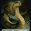 Human // Snake Double-Sided Token [Dominaria United Commander Tokens]