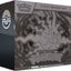 Pokemon TCG: Mega Evolution: Pitch Black Elite Trainer Box *Sealed* (PRE-ORDER, SHIPS JULY 17TH)