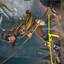Legolas, Counter of Kills // Legolas, Counter of Kills (ALTR-017) - Tales of Middle-earth Art Series (Borderless) Foil