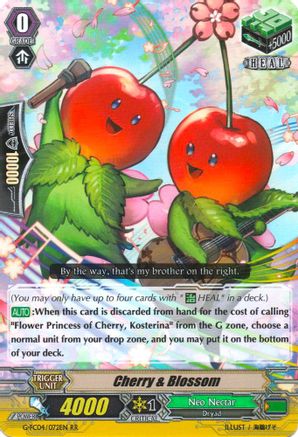 Cherry & Blossom (G-FC04/072EN) [Fighters Collection 2017]