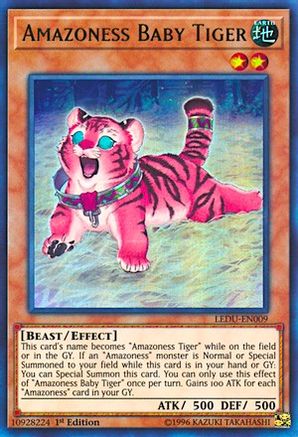 Amazoness Baby Tiger [LEDU-EN009] Ultra Rare