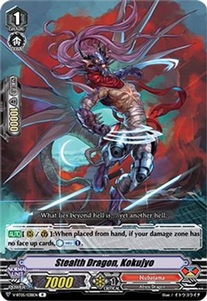 Stealth Dragon, Kokujyo (V-BT05/038EN) [Aerial Steed Liberation]