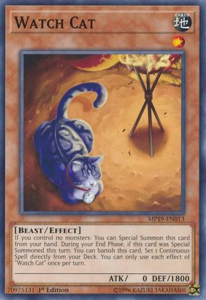 Watch Cat [MP19-EN013] Common