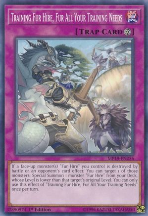 Training Fur Hire, Fur All Your Training Needs [MP19-EN256] Common