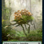 Food // Saproling Double-Sided Token [Commander 2021 Tokens]