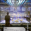 Netrunner: Game Night Kit