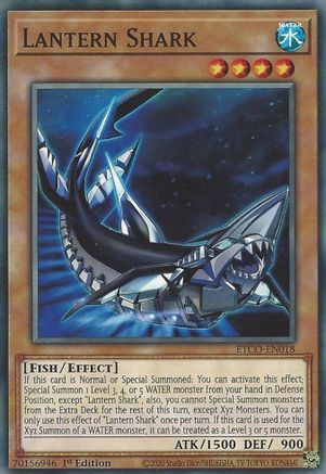 Lantern Shark [ETCO-EN018] Common