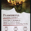 Flameskull // Flameskull (AAFR-014) - Adventures in the Forgotten Realms Art Series (Borderless) Foil