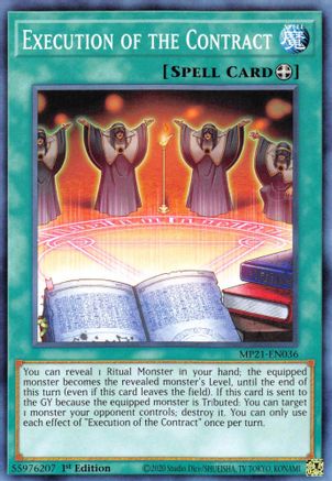 Execution of the Contract [MP21-EN036] Common