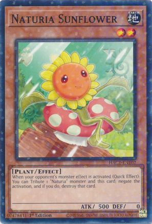 Naturia Sunflower (Duel Terminal) [HAC1-EN102] Parallel Rare