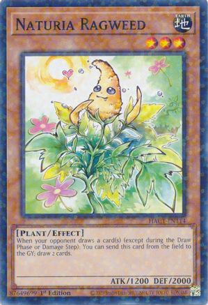 Naturia Ragweed (Duel Terminal) [HAC1-EN114] Parallel Rare
