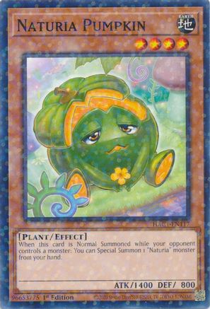 Naturia Pumpkin (Duel Terminal) [HAC1-EN117] Parallel Rare