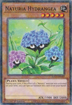 Naturia Hydrangea (Duel Terminal) [HAC1-EN107] Common