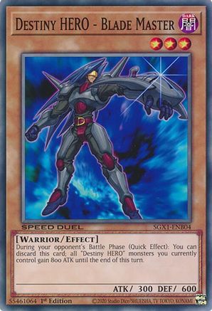 Destiny HERO - Blade Master [SGX1-ENB04] Common