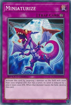 Miniaturize [SGX1-END20] Common