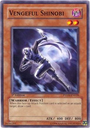 Vengeful Shinobi [PTDN-EN028] Common