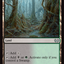 Tainted Wood [Duskmourn: House of Horror Commander]