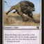 Savannah Lions (Oversized) [Eighth Edition Box Topper]