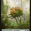 Dog // Saproling Double-Sided Token [Core Set 2021 Tokens]
