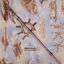 Staff of Domination // Staff of Domination (ABRO-079) - The Brothers' War Art Series (Borderless) Foil