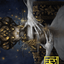 Ego Drain // Ego Drain (AWOE-012) - Wilds of Eldraine Art Series (Borderless) Foil
