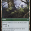 Vastwood Fortification (ZNR-216) - Zendikar Rising