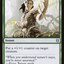 Vastwood Fortification (ZNR-216) - Zendikar Rising Foil