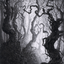 Forest // Forest (AMID-080) - Midnight Hunt Art Series (Borderless) Foil