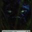 Bird // Cat (011) Double-Sided Token [Core Set 2021 Tokens]