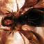 Dragon's Rage Channeler // Dragon's Rage Channeler (AMH2-035) - Modern Horizons 2 Art Series (Borderless) Foil