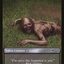 Walker (148 //149) Double-Sided Token [Secret Lair Drop Series]