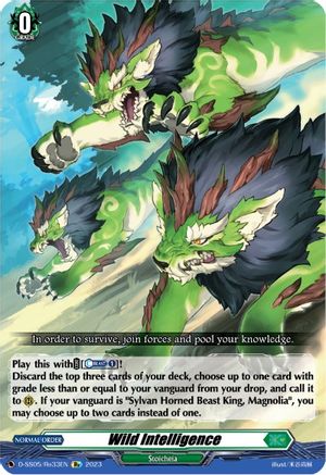 Wild Intelligence (D-SS05/Re33EN) [D-SS05: Festival Booster 2023]