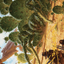 Cactarantula // Cactarantula (AOTJ-012) - Outlaws of Thunder Junction Art Series (Borderless)