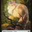 Treasure // Cat Double-Sided Token [Kaldheim Tokens]