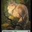 Cat // Treasure Double-Sided Token [Bloomburrow Commander Tokens]