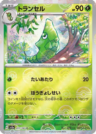 Metapod (Poke Ball Pattern) 011/165 [SV2a Pokemon Card 151] Holofoil (Japanese)