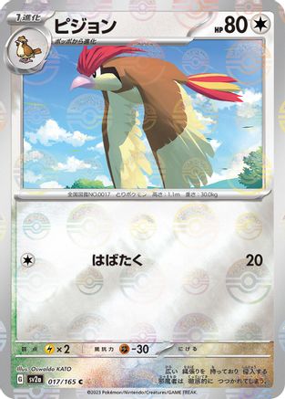 Pidgeotto (Poke Ball Pattern) 017/165 [SV2a Pokemon Card 151] Holofoil (Japanese)