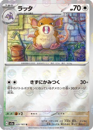 Raticate (Poke Ball Pattern) 020/165 [SV2a Pokemon Card 151] Holofoil (Japanese)