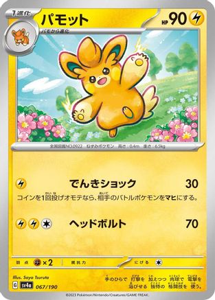 Pawmo - 067/190 067/190 [SV4a Shiny Treasure ex]  (Japanese)