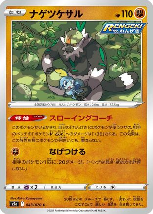 Passimian 043/070 [S5a Peerless Fighters] (Japanese)
