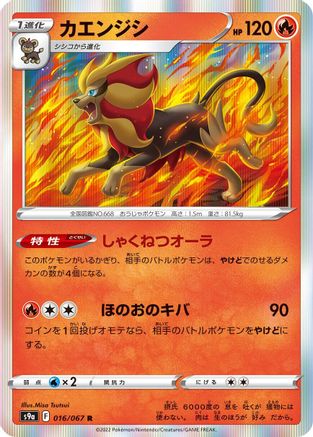 Pyroar 016/067 [S9a Battle Region] Holofoil (Japanese)