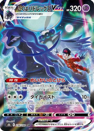 Shadow Rider Calyrex VMAX 236/184 [S8b VMAX Climax] Holofoil (Japanese)