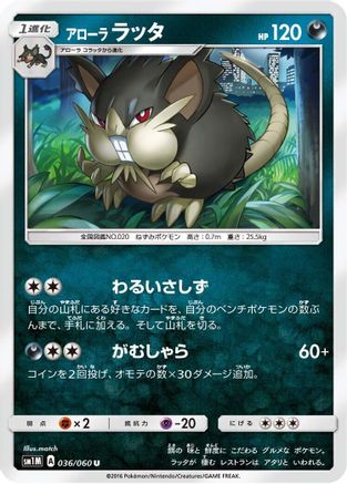 Alolan Raticate 036/060 [SM1M Collection Moon] (Japanese)