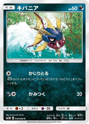 Carvanha 038/060 [SM1M Collection Moon] (Japanese)