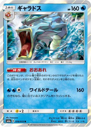 Gyarados 016/053 [SM6a Dragon Storm] Holofoil (Japanese)