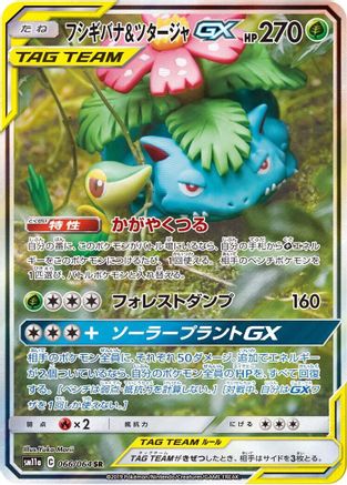 Venusaur & Snivy GX 066/064 [SM11a Remix Bout] Holofoil (Japanese)