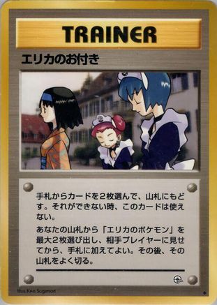 Erika'sMaids [Leaders Stadium] (Japanese)